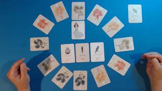 Maiden in the Forest Rules and Solo Playthrough