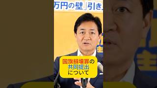 国旗損壊罪の共同提出について　#玉木雄一郎 #国民民主党