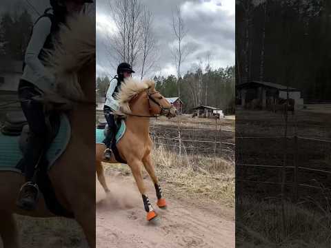 Vuoden ekat maastoesteet!🤩