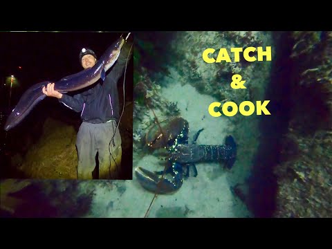 Hand Lining MASSIVE EELS , Giant Lobsters , Catch Clean Cook Conger eel