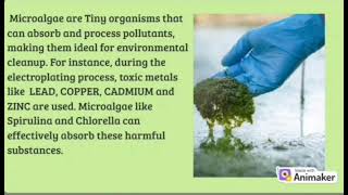 Algal Bacterial Consortium Approach 