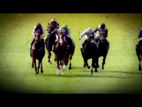 The QIPCO Guineas Festival 2015