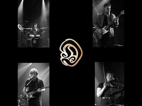 D Project / Nothing Here Is Innocent (Live)