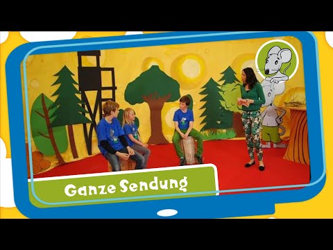 Hallo Benjamin! Ich glaub ich steh im Wald! Welche Pflanzen wachsen in unseren Wäldern?