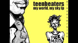 Teenbeaters - Rid of Me (Live) - PJ Harvey Cover