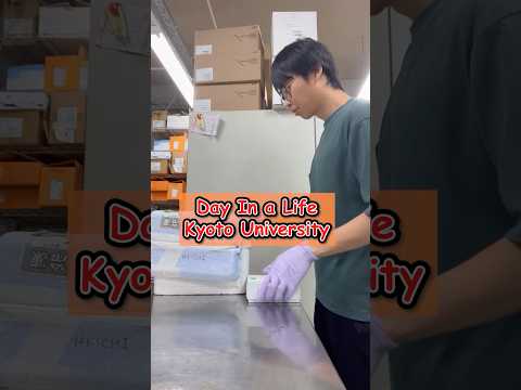 POV: Kyoto University Student