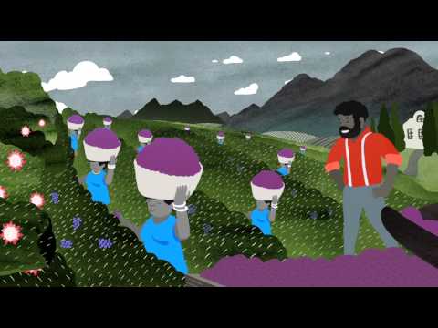 20 Years of Democracy Animated Video