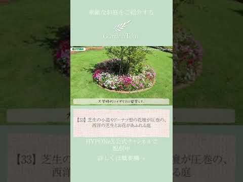 plantes-couvre-sol-persistantes-croissance-rapide