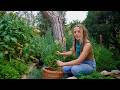 Living Off the Grid on a Small Family Farm ~ Spring Projects & Harvests