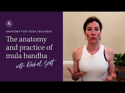 The Anatomy and Practice of Mula Bandha: Yoga Anatomy with Rachel