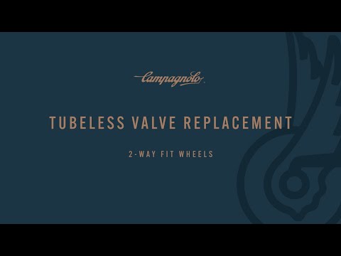 2 way fit tubeless valve replacing