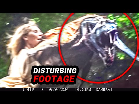 Unveiling the Most Startling Trail Cam Footage Yet Recorded