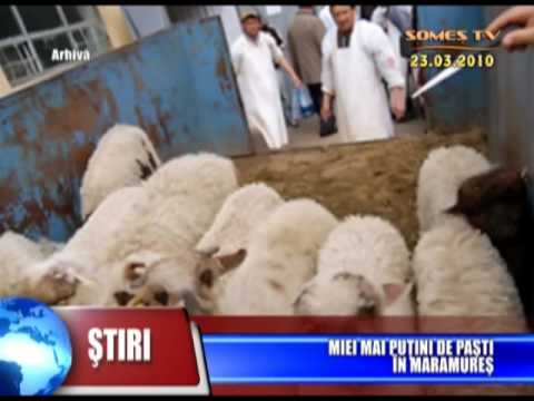 03_Miei Mai Putini De Pasti In Maramures