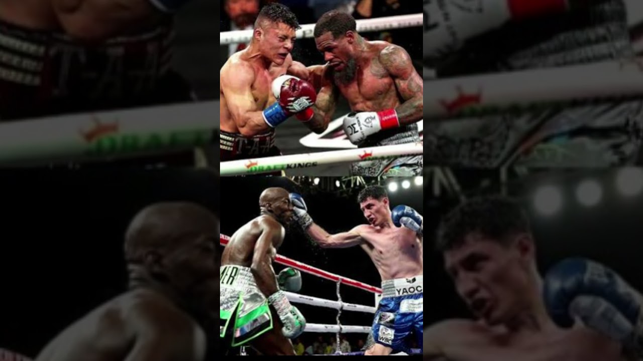 Lamont Roach vs William Zepeda Full Fight Highlights - Roach vs Zepeda Highlights #shorts