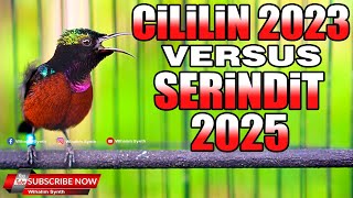Download lagu TOP BANGET !! MASTERAN KONIN GACOR FULL ISIAN CILILIN VERSUS SERINDIT COCOK UNTUK MASTERAN PANCINGAN mp3