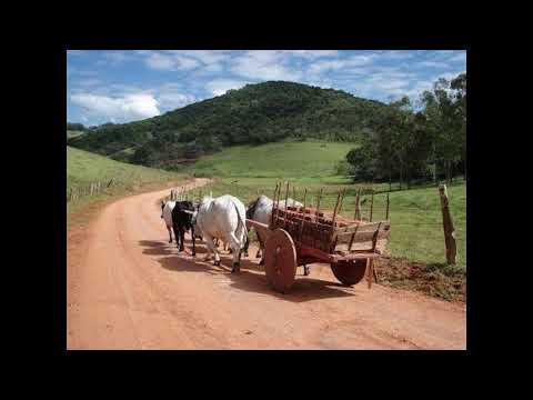 Programa: Caminho da Roça - 29/09/26 - Parte 1 - Apresentação: Paulinho