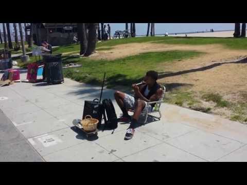 Amazing Dupstep Beatboxer @ Venice Beach
