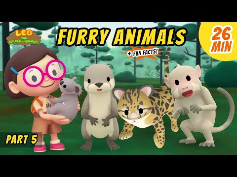 Witness21 Editor  2021 04 22