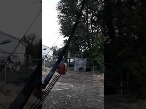 Weasel shoots lighted nocks on his hunting arrows