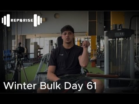 Winter Bulk Day 61 - Arms