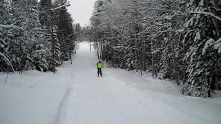 preview picture of video 'längdskidor i sverige'