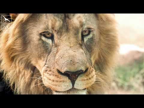 Abuto's Care Team Trains New Health Care Behaviors