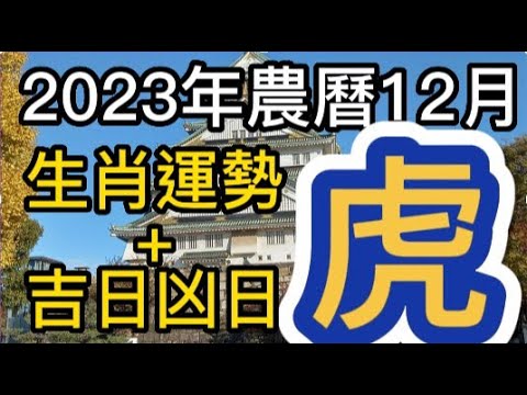 2023屬虎每月運勢
