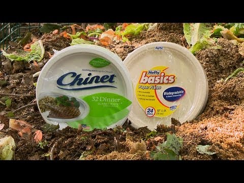 1st YouTube video about are paper plates compostable