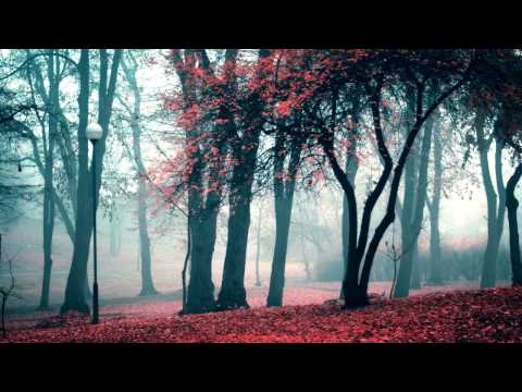 BONUS SUICIDE - sakura