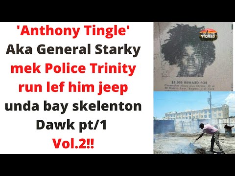 'ANTHONY TINGLE' AKA 'GENERAL STARKY' LONE EXCHANE PON DIH TRAPPY VOL,2  PT/1