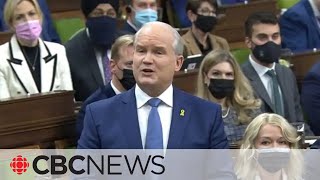 Erin O'Toole faces Conservative caucus revolt
