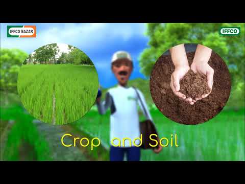 Sagarika Z++ Seaweed Fortified Granules