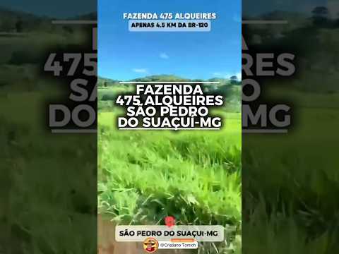 FAZENDA 475 ALQUEIRES SÃO PEDRO DO SUAÇUÍ-MG R$ 55 MIL POR ALQUEIRES