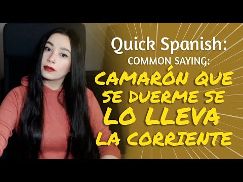 SPANISH LESSON: CAMARÓN QUE SE DUERME SE LO LLEVA LA CORRIENTE (common saying)