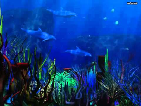 RMB Tribute (We Miss You...) Part 1