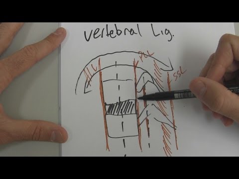 Beinschmerzen im Rücken gibt Schwere Rückenschmerzen ohne Fieber