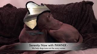 PAWNIX - SPLASH Video