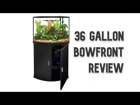 36 Gallon Bowfront Dimensions