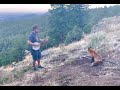 Playing Banjo For A Wild Fox He Came Back For An Encore Titled Aesop Mountain And Streaming Now