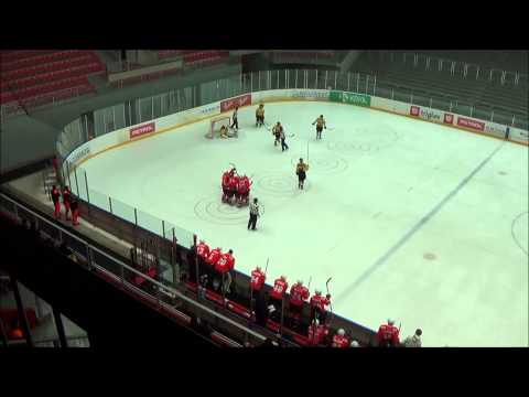 INL - Team Jesenice : HK Playboy Slavija (26.12.2013)