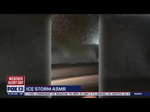 Seattle Ice Storm ASMR | FOX 13 Seattle