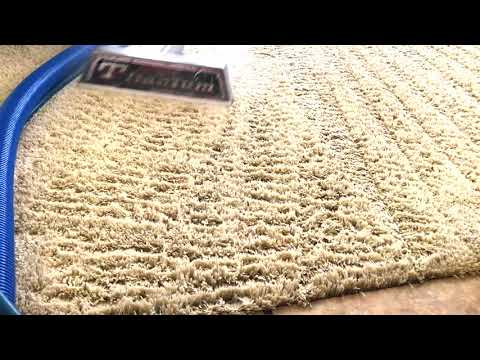 image-Is steam cleaning carpet worth it?