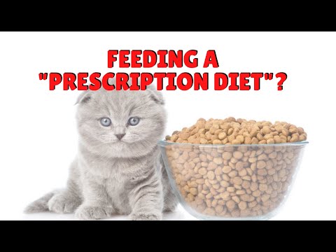 What Is A “Prescription Diet” For Cats? | Two Crazy Cat Ladies