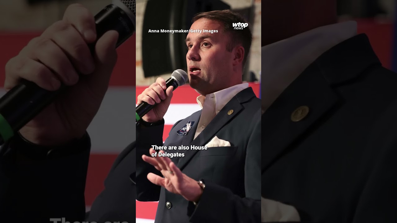 What to expect during the Va. primary this year