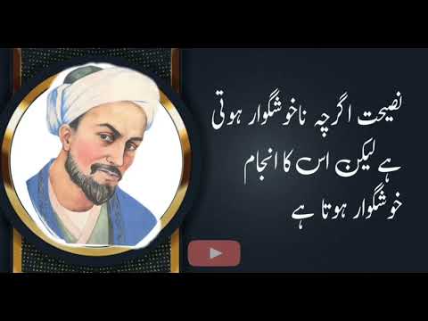 10 Sheikh Saadi ka aqwal quotes #sheikhsaadiquotesinurdu