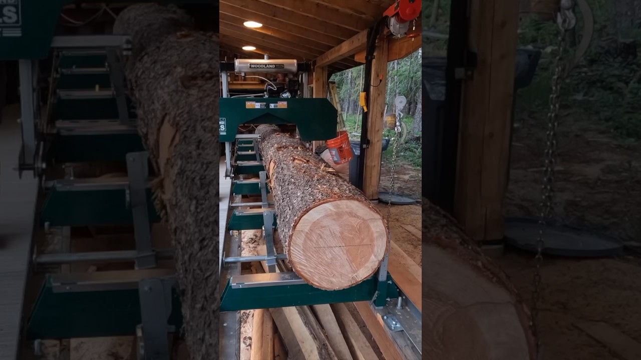 Milling A Log Start To Finish #woodland mills #sawmill #beam #youtubeshorts #youtube #shorts #short