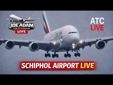 🔴 LIVE: From Crosswind to Golden Hour at Amsterdam Schiphol | Jan 17, 2026