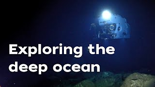 Dive Deeper: Alvin Takes You There