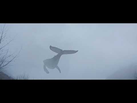 J.S.K XXVI - Flying Whales (Unofficial Video)