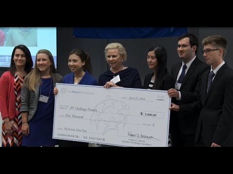 2016 M3 Challenge: Problem, Process, Perspectives